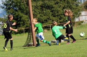 开云官方网站-体育新闻中心承办高校体育传播研究成果展示活动，体育新闻传媒专业大学排名